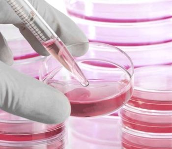 Células madres, lo más nuevo en estética